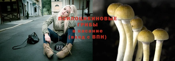 молекула духа Нязепетровск