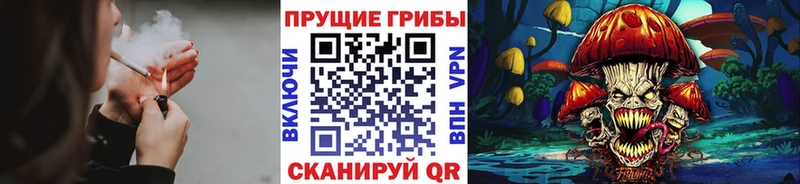 закладка  Кораблино  Псилоцибиновые грибы Magic Shrooms 