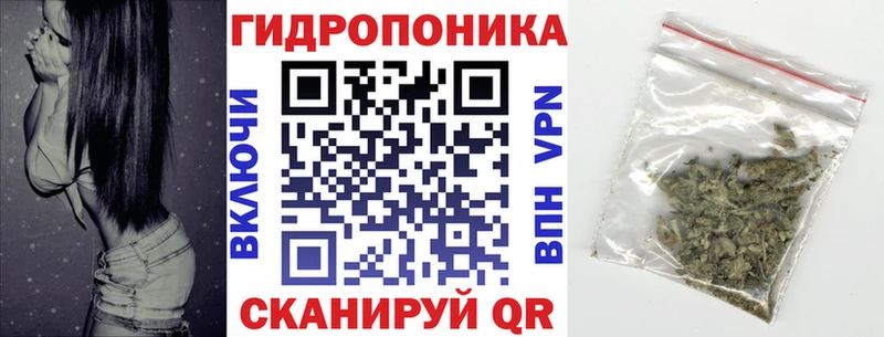 где купить наркоту  Кораблино  Бошки марихуана Amnesia 